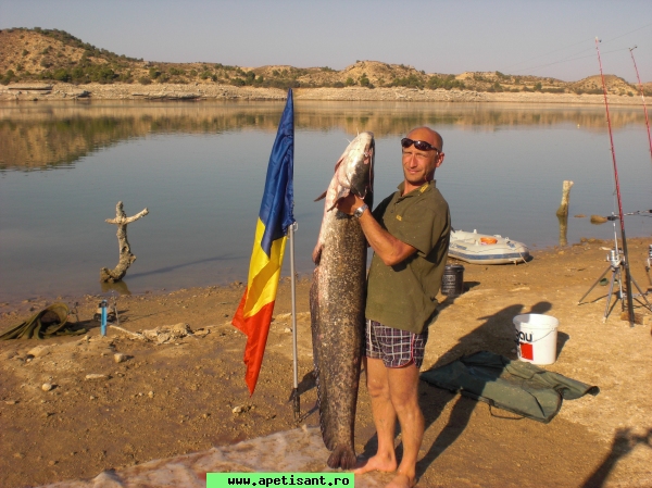 bigfish75