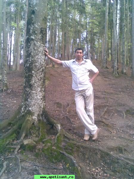 danvic_vicdan