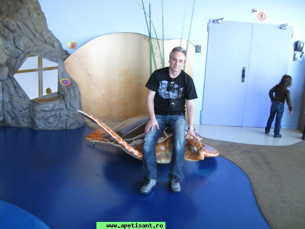 discretman20120
