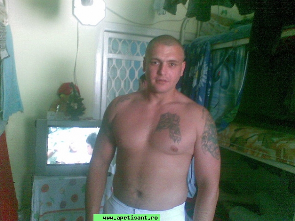dorin bodo