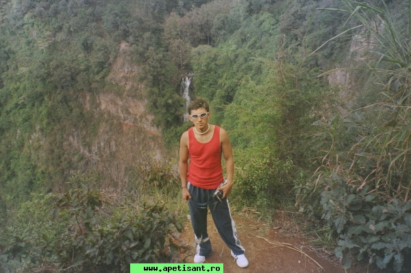 eddye
