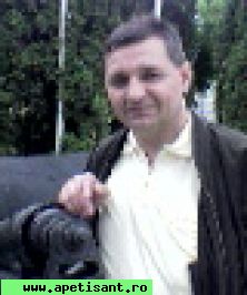 gigel40
