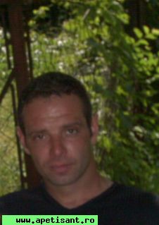 igor31