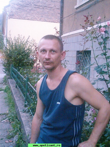 nesti024