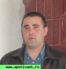 rebie
