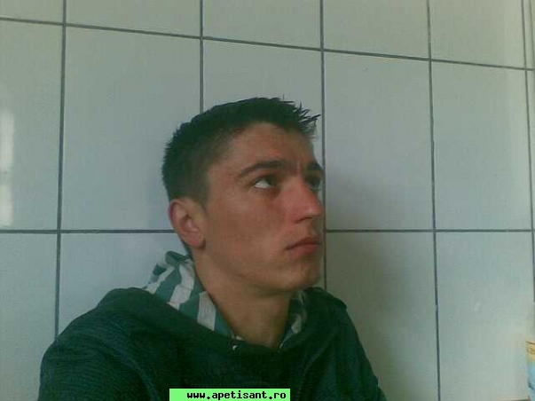 singurel