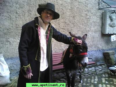 un_animal